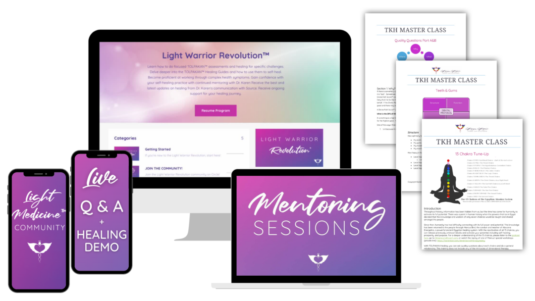 Light Warrior Revolution Bonus