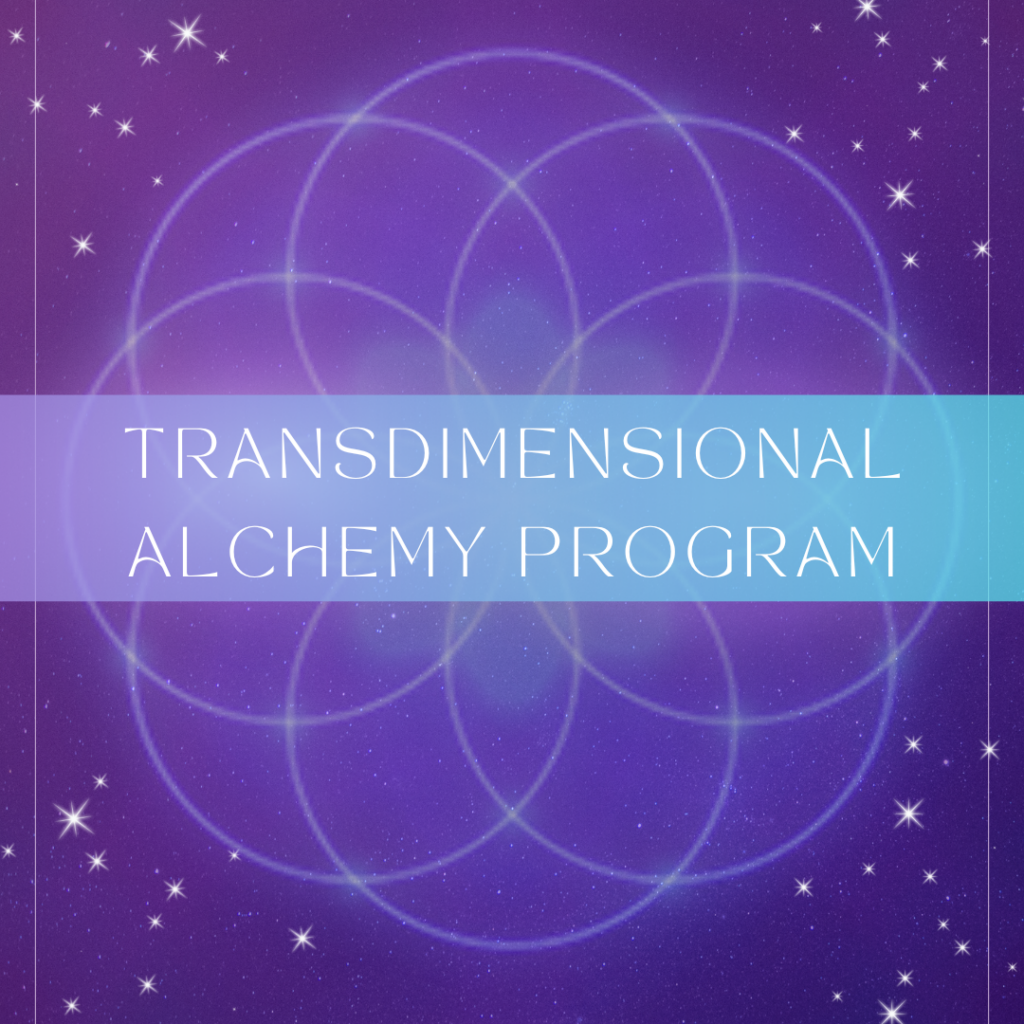 Transdimensional Alchemy Program