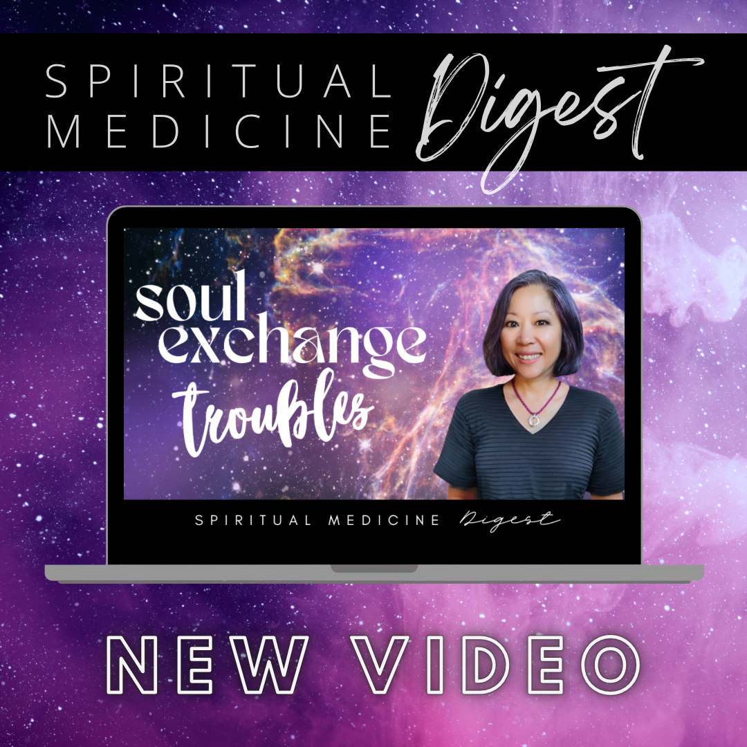 Spiritual Medicine Digest: Soul Exchange Troubles | Dr. Karen Kan | September 29th, 2023