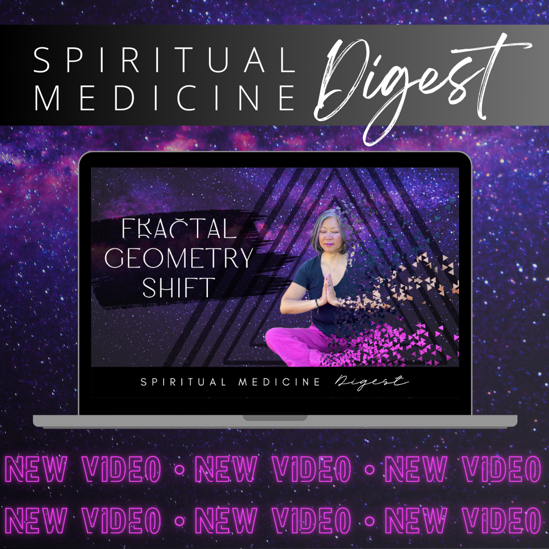 Spiritual Medicine Digest: Fractal Geometry Shift | Dr. Karen Kan | November 3rd, 2023