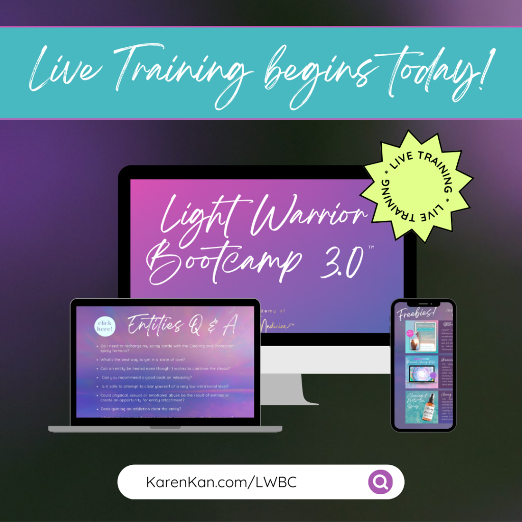Light Warrior Bootcamp 3.0™`